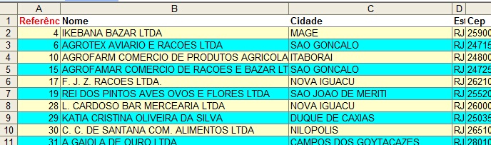 31i_Clientes_excel